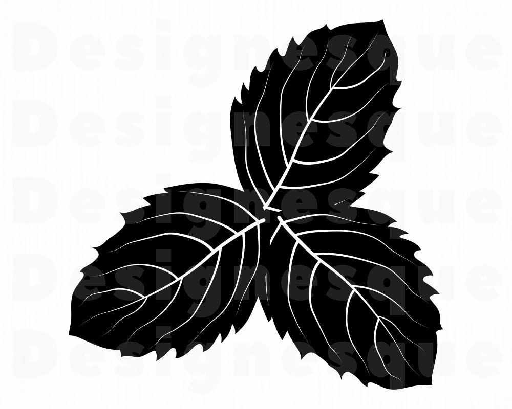 Mint Leaves SVG Mint Svg Leaf Svg Leaf Clipart Leaf Files Etsy
