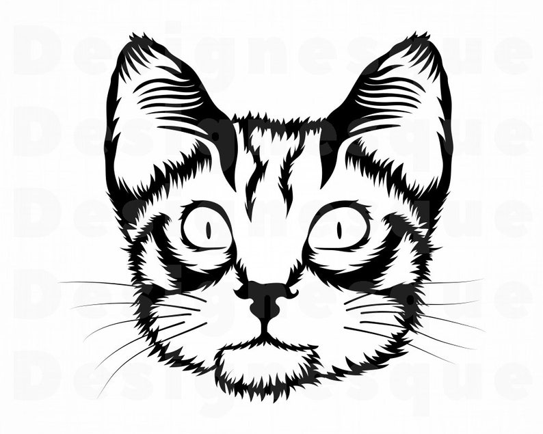 cat svg free download
