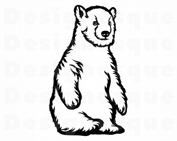 Download Polar Bear Cub 2 Svg Baby Bear Svg Baby Polar Bear Svg Polar Bear Clipart Files For Cricut Cut Files For Silhouette Dxf Png Eps
