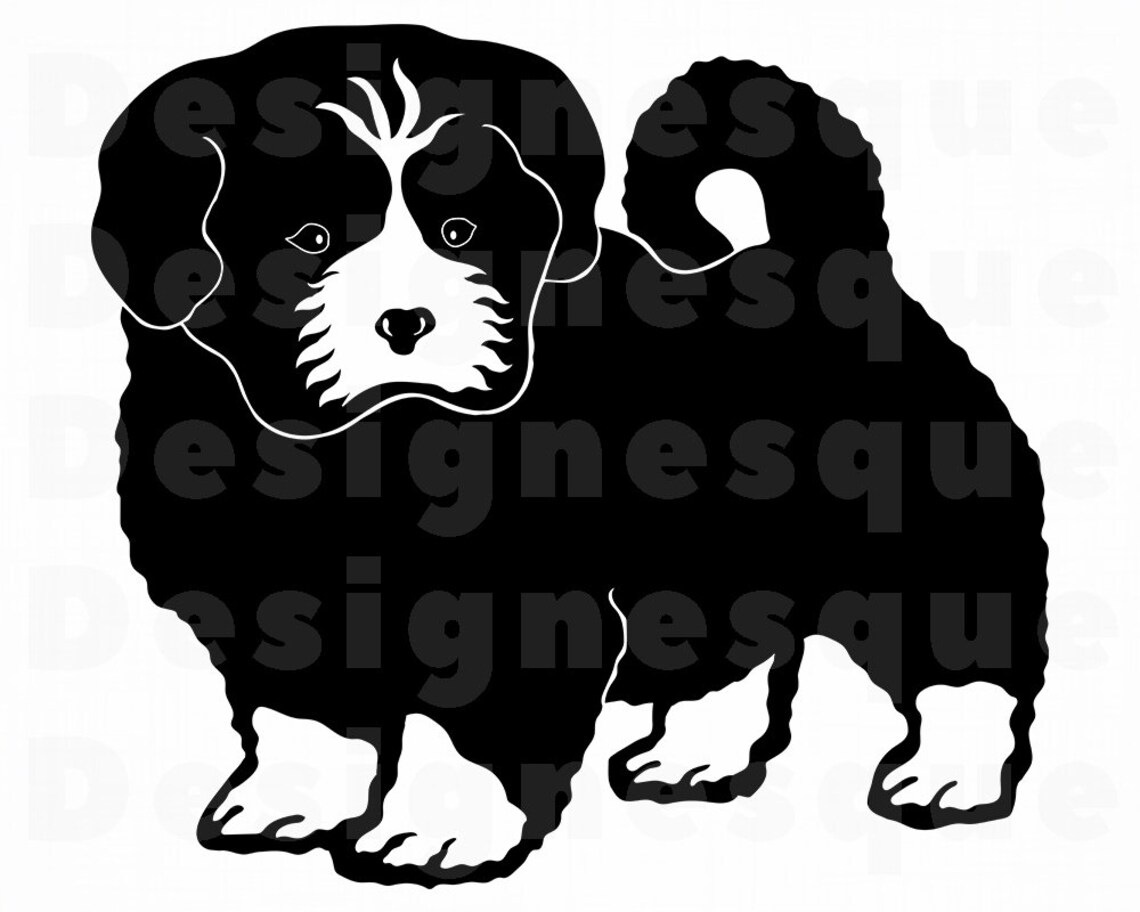 Shorkie SVG Dog Svg Shorkie Clipart Shorkie Files for | Etsy