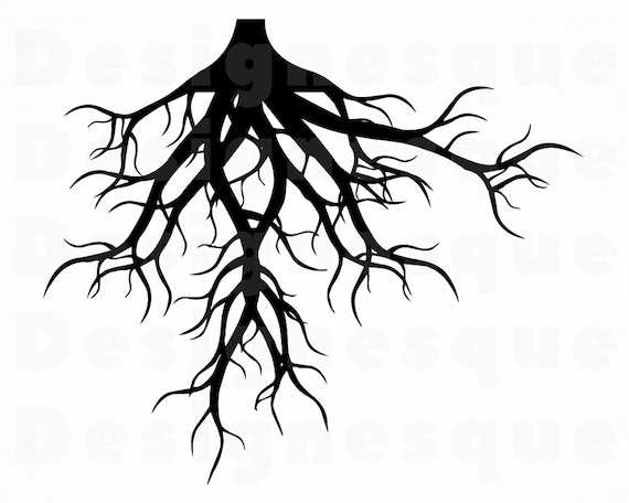 Download Roots 3 SVG Roots SVG Tree Roots Svg Family Svg Roots | Etsy