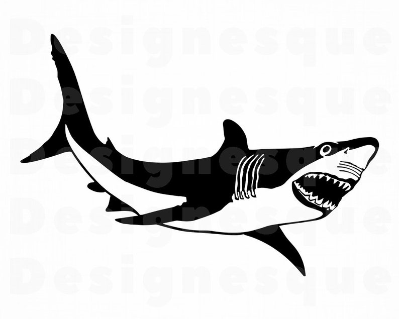 Download Shark SVG Great White Shark Shark Clipart Shark Files for ...