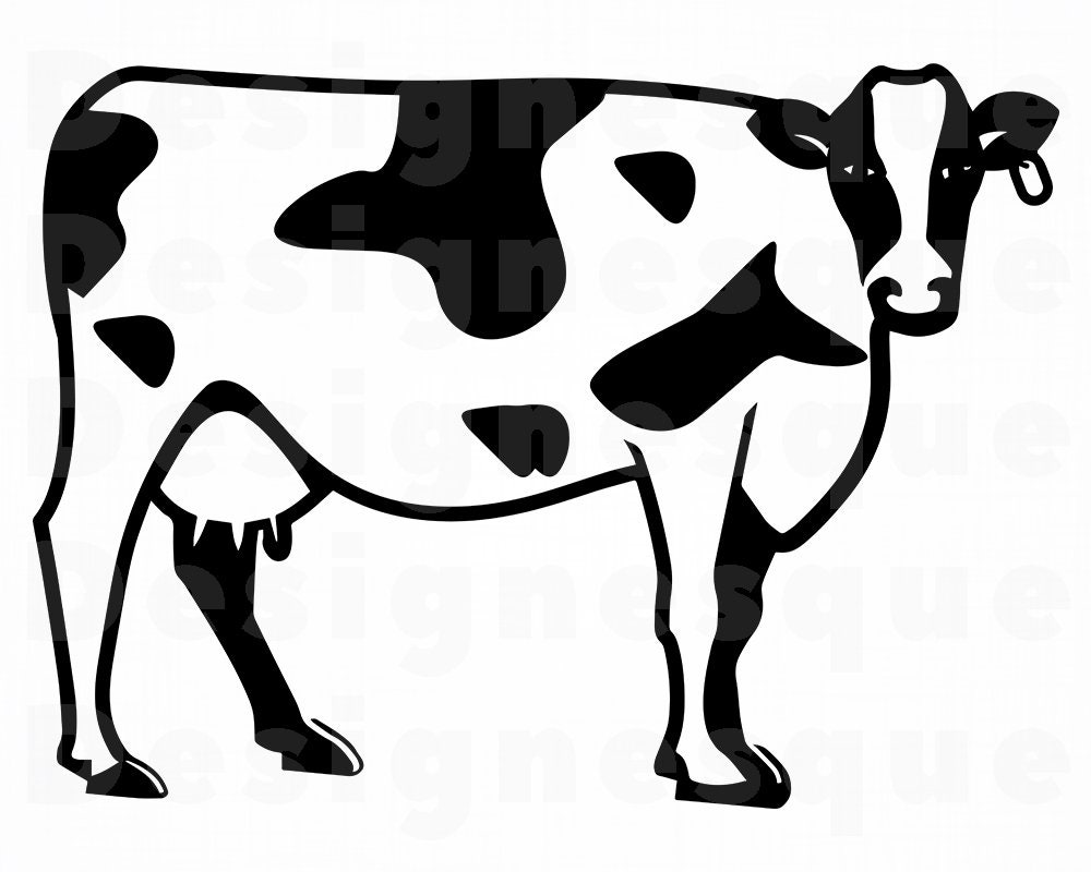 Download Cow 3 SVG Cow SVG Cattle Svg Cow Clipart Cow Files for | Etsy