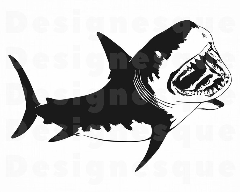 Free Free 80 Great White Shark Svg Free SVG PNG EPS DXF File