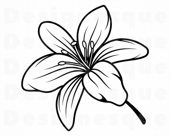 Download Lily Flower 2 Svg Lily Flower Svg Lily Svg Flower Svg Etsy