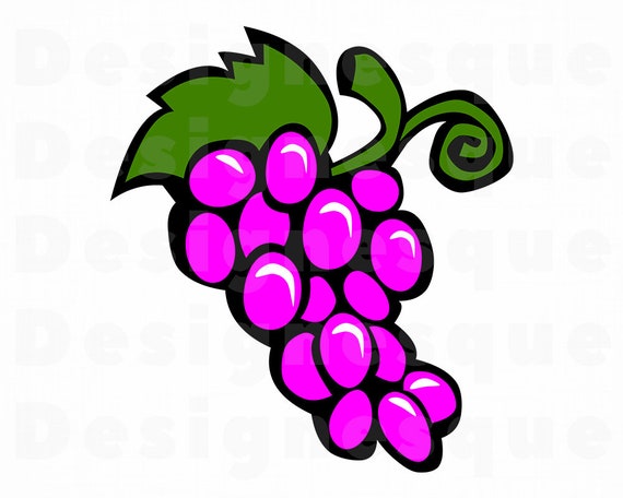 Trauben Clipart Trauben Svg Obst Svg Trauben Etsy