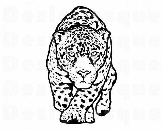 Download Leopard SVG Jaguar Svg Leopard Clipart Leopard Files for ...