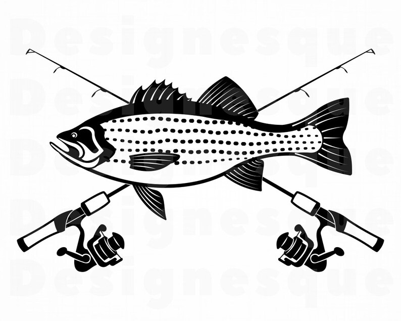 Striped Bass Fishing SVG Fishing Logo Svg Fish Svg Fishing Etsy
