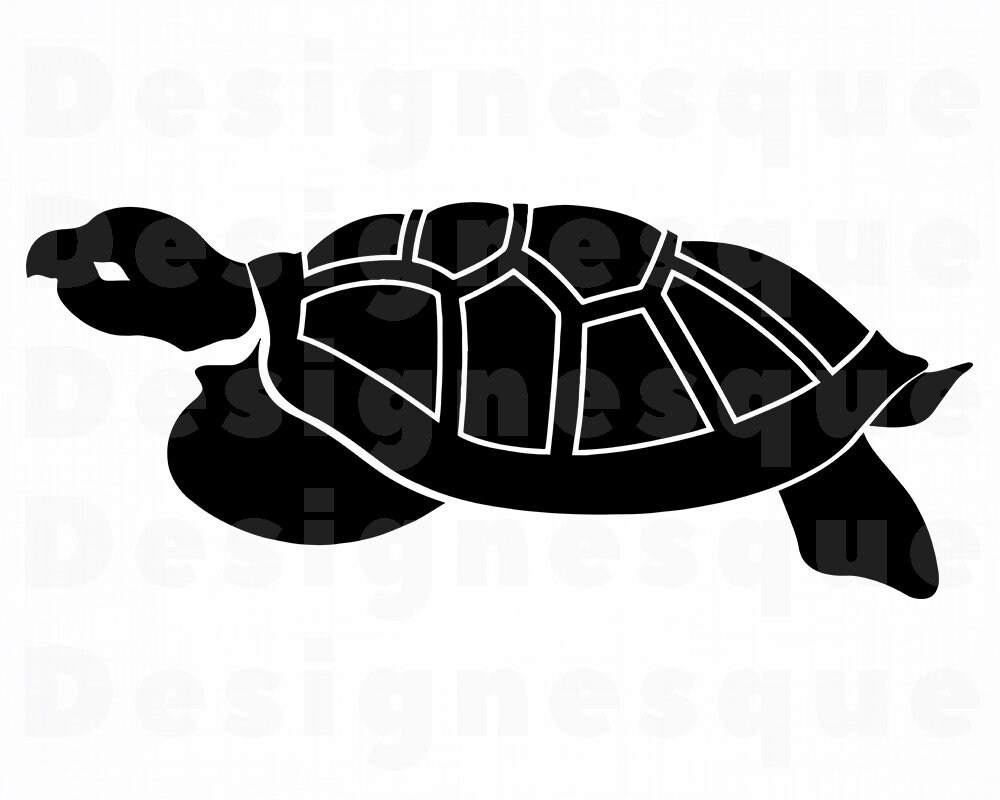Turtle Files for Cricut Turtle Clipart Tortoise SVG Dxf Turtle #3 SVG Turtle Svg Png Eps Sea Creatures SVG Cut Files For Silhouette