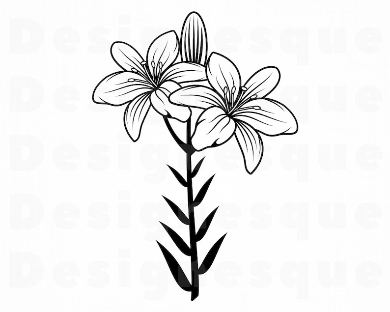 Lily Flower 6 SVG Lily Flower Svg Lily SVG Flower Svg | Etsy