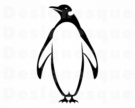 Download Free Penguin 7 Svg Penguin Svg Penguin Clipart Penguin Files Etsy PSD Mockup Template