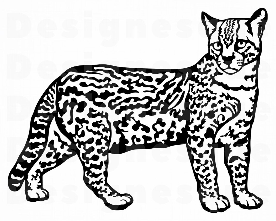 Ocelot SVG Ocelot Clipart Ocelot Files for Cricut Ocelot | Etsy