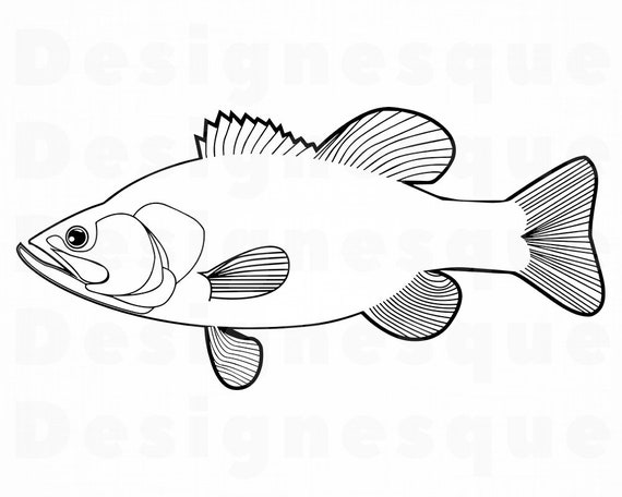 Free Free 108 Outline Bass Fish Svg SVG PNG EPS DXF File