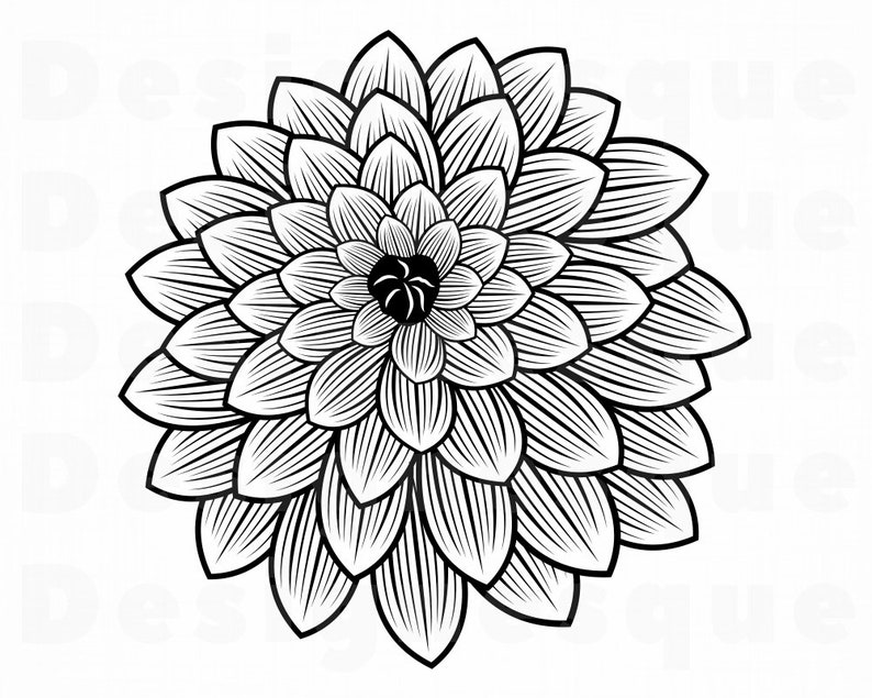 Free Free Dahlia Flower Svg Free 823 SVG PNG EPS DXF File