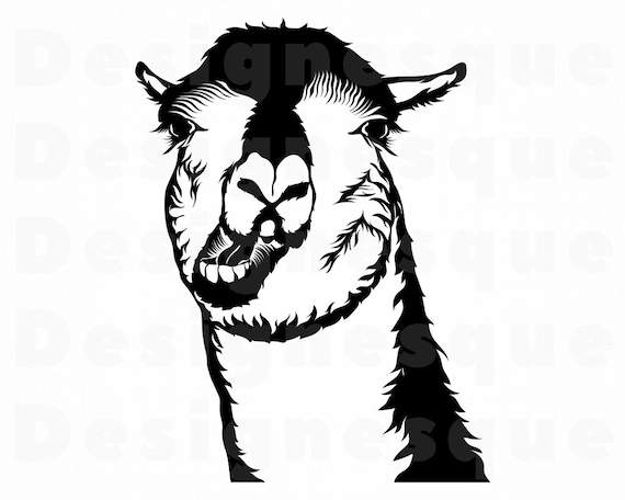 Download Funny Llama Svg Llama Svg Llama Mascot Svg Llama Clipart Etsy PSD Mockup Templates
