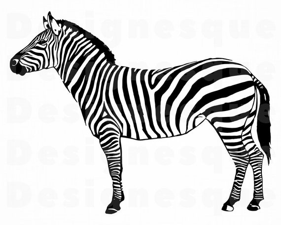 Download Zebra 2 SVG Zebra SVG Zebra Clipart Zebra Files for | Etsy