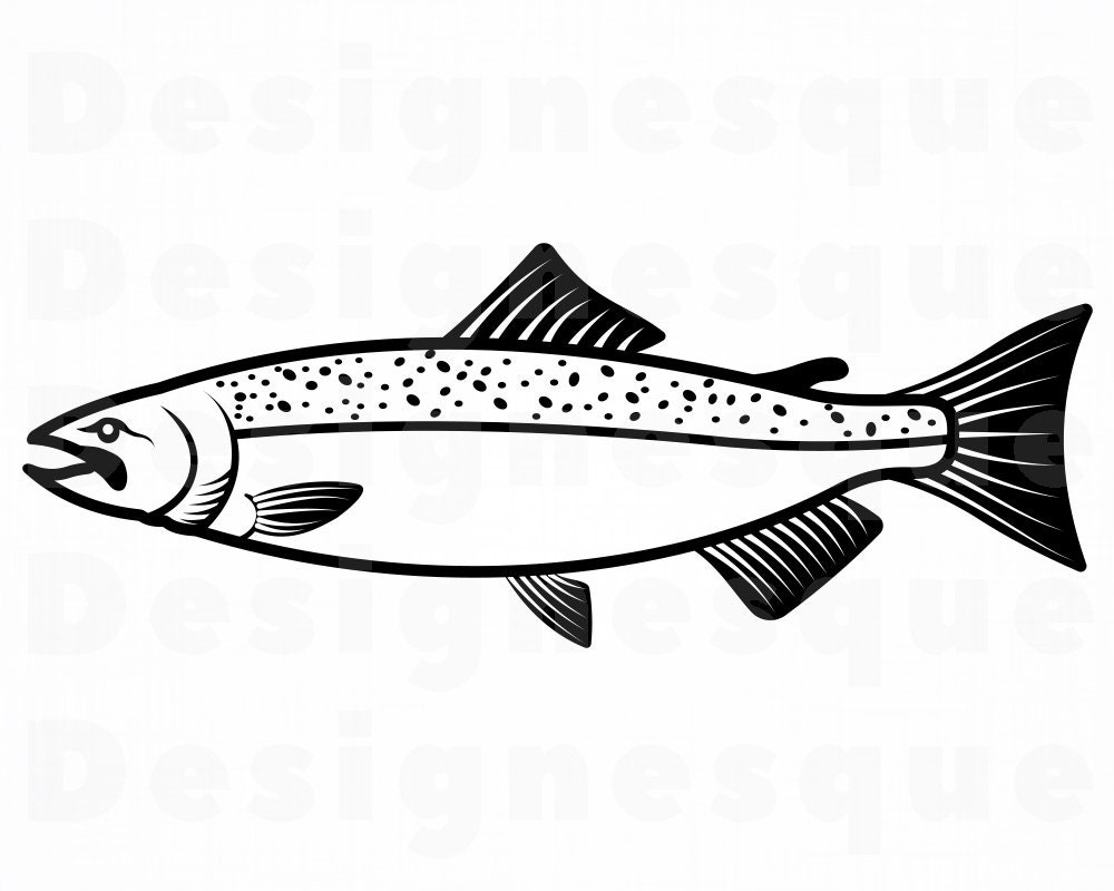 Download Chinook Salmon Svg Fishing Svg Fish Svg Fishing Clipart Etsy