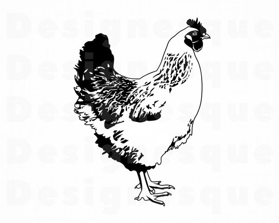 Download Chicken 2 Svg Chicken Svg Chicken Clipart Chicken Files Etsy