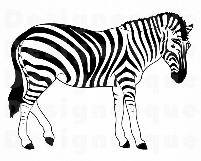 Download Zebra 4 SVG Zebra SVG Zebra Clipart Zebra Files for | Etsy