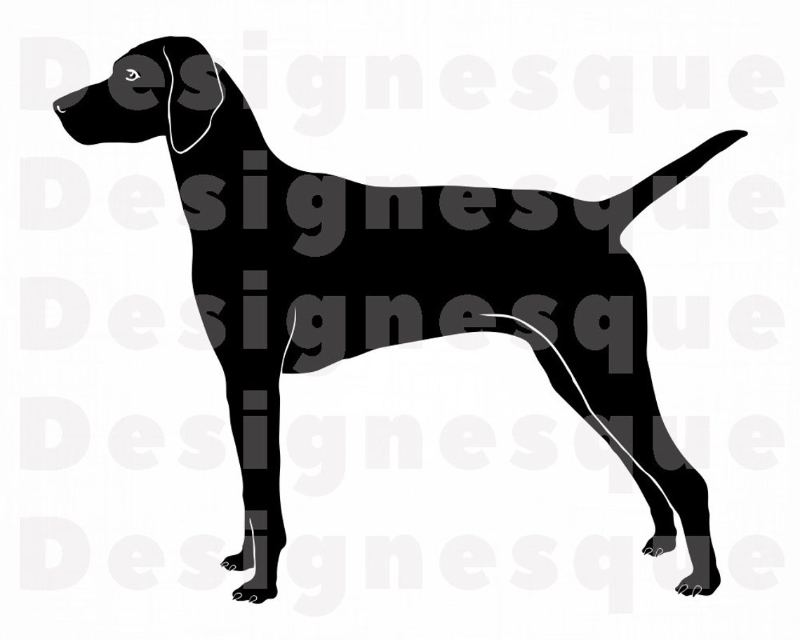 Vizsla SVG Dog Svg Vizsla Clipart Vizsla Files for Cricut | Etsy