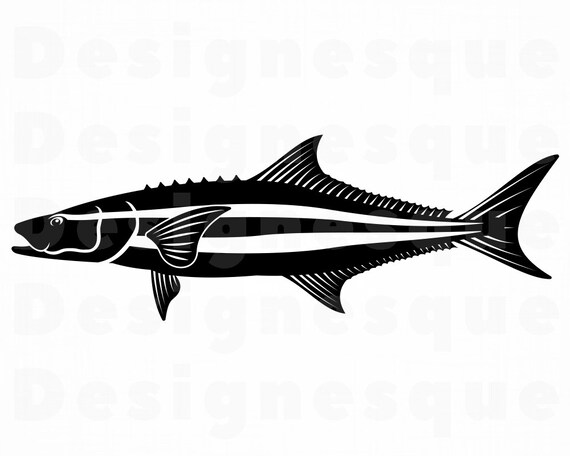 Download Cobia 2 Svg Fishing Svg Fish Svg Fishing Clipart Fishing Files For Cricut Fishing Cut Files For Silhouette Fish Dxf Png Eps Vector