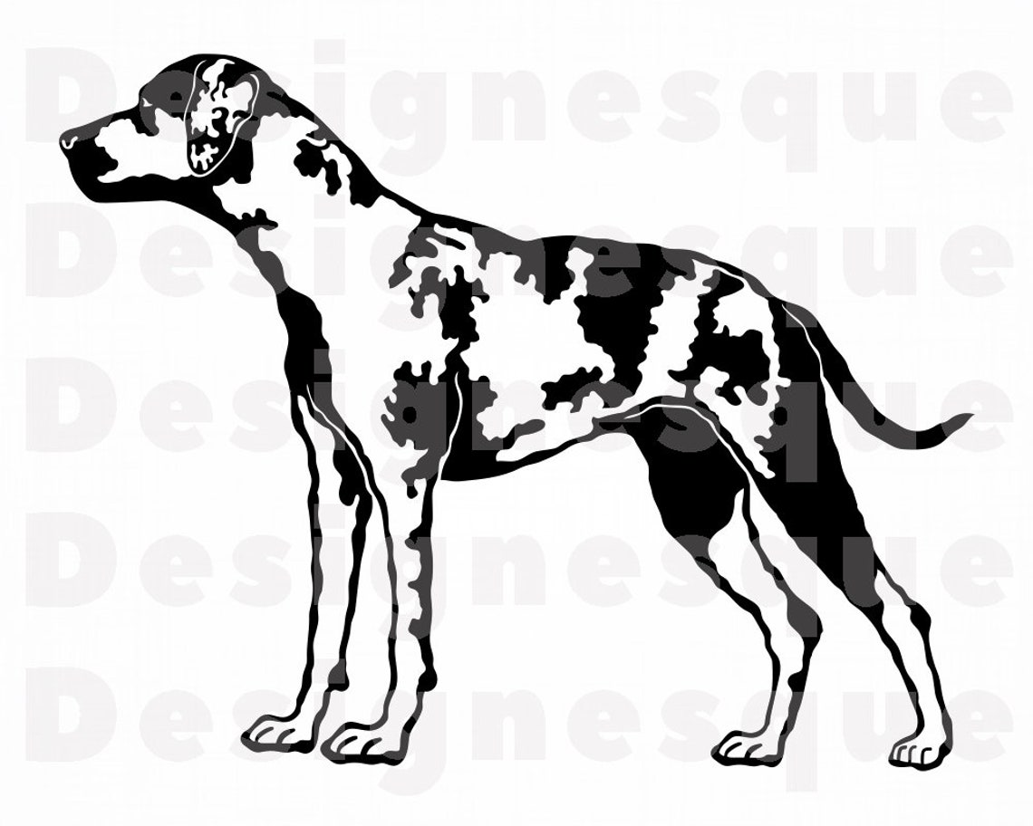 Catahoula Leopard Dog SVG Dog Svg Catahoula Leopard Dog | Etsy