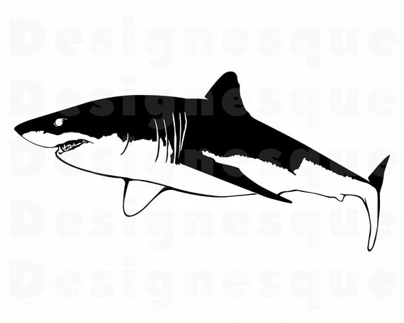 Free Free Great White Shark Svg Free 93 SVG PNG EPS DXF File