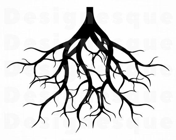 Roots 2 Svg Roots Svg Tree Roots Svg Family Svg Roots Etsy