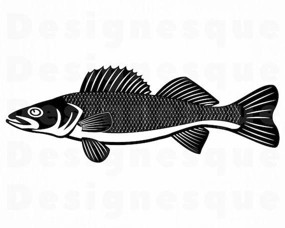 Download Walleye Svg Fishing Svg Fish Svg Fishing Clipart Fishing Etsy