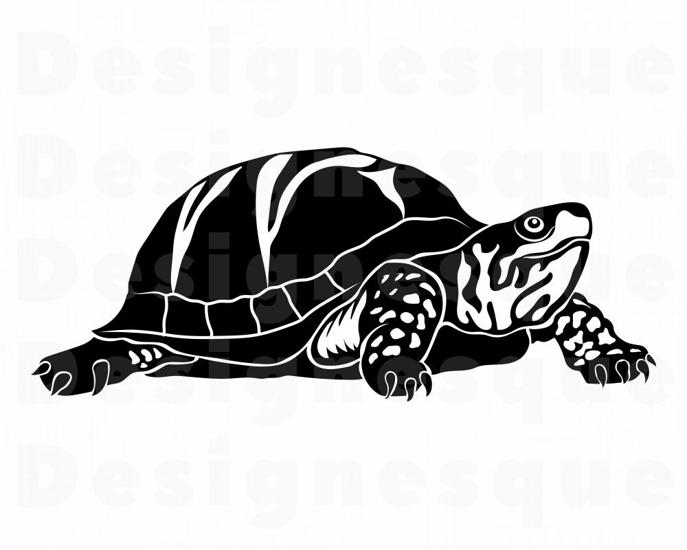 Turtle Files for Cricut Turtle Clipart Tortoise SVG Dxf Turtle #3 SVG Turtle Svg Png Eps Sea Creatures SVG Cut Files For Silhouette