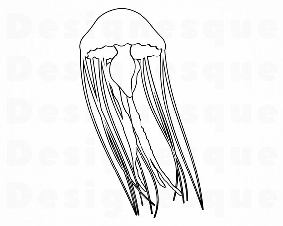 Free Free 53 Outline Cute Jellyfish Svg Jellyfish Clipart SVG PNG EPS DXF File