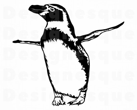 Humboldt Penguin 2 Svg Penguin Svg Penguin Clipart Penguin Etsy