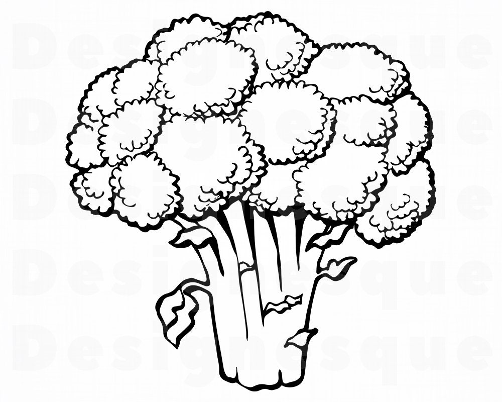 Broccoli Outline SVG Broccoli SVG Broccoli Clipart Broccoli Etsy Broccoli Outline SVG Broccoli SVG Broccoli Clipart Broccoli Etsy