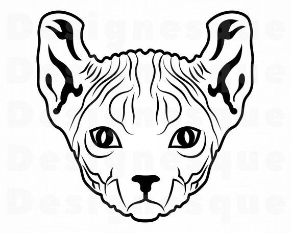 Chat Sphynx Svg Des Cliparts Chat Sphynx Sphynx Chat Etsy