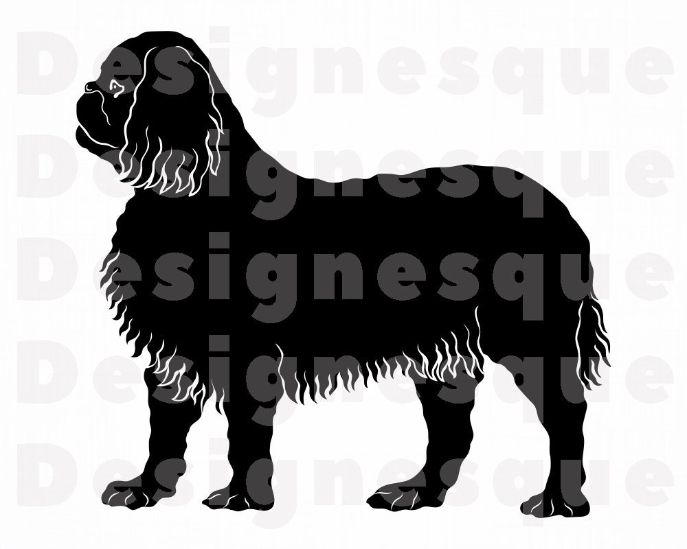 King Charles Spaniel SVG Dog Svg King Charles Spaniel | Etsy