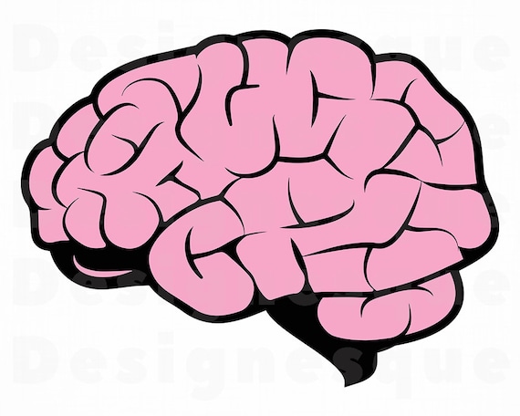 Cerveau Svg Svg De Lesprit Cerveau Des Cliparts Des Etsy