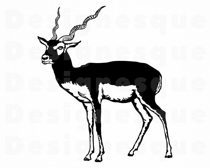 Antelope SVG Antelope Clipart Antelope Files for Cricut | Etsy