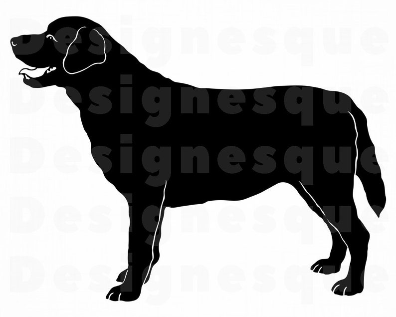 Labrador Retriever SVG Dog Svg Labrador Retriever Clipart | Etsy
