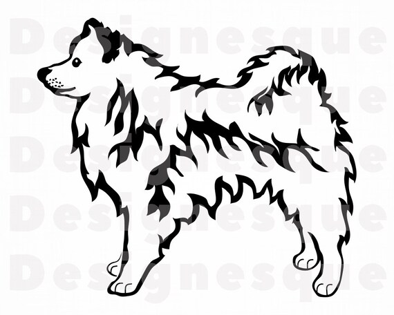 Download American Eskimo Dog Svg Dog Svg Clipart American Eskimo Dog Etsy