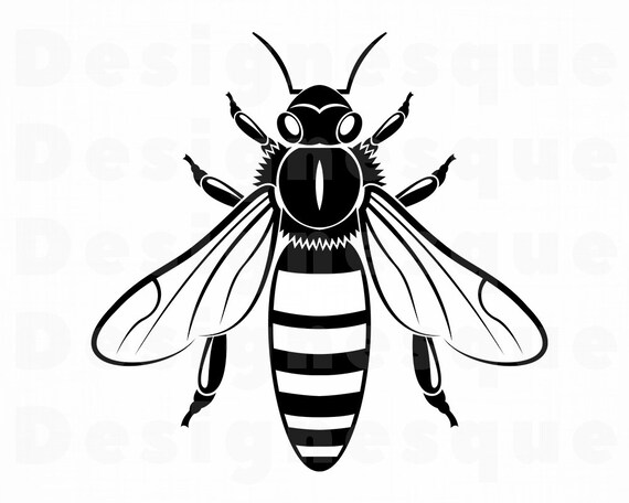 Download Bee 14 Svg Bee Svg Queen Bee Svg Honey Svg Bee Clipart Etsy