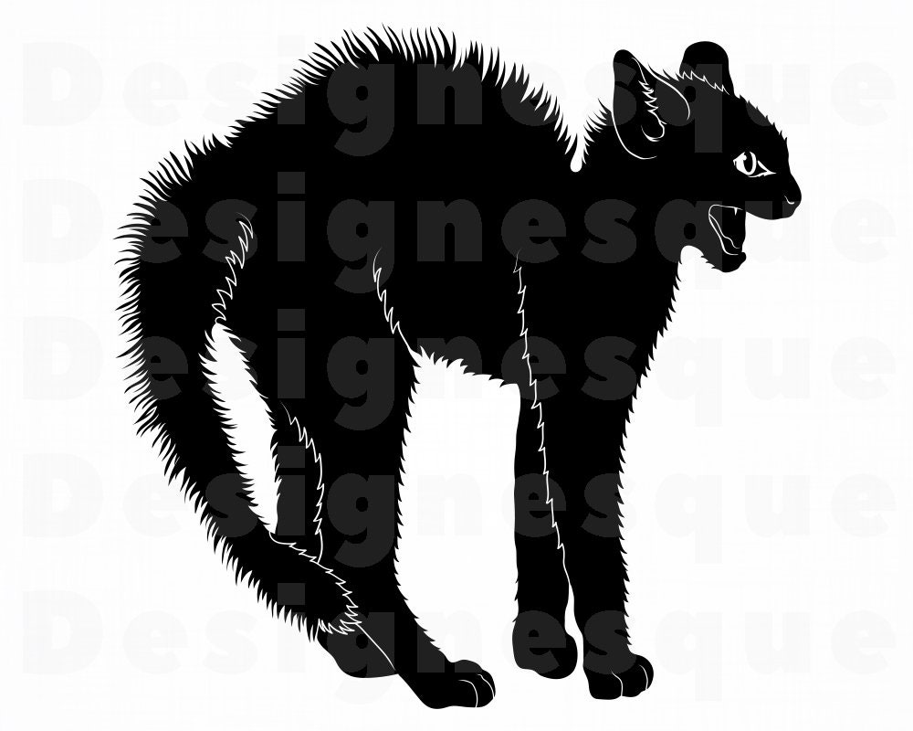 Scared Cat SVG Cat Svg Cat Hissing Svg Cat Clipart Cat | Etsy