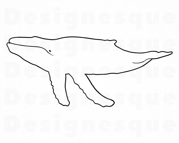 humpback whale outline svg humpback whale svg humpback whale etsy etsy