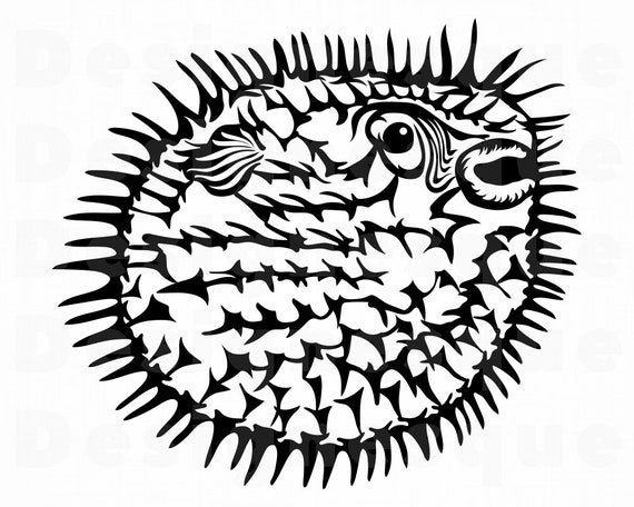 Download Puffer Fish 3 Svg Puffer Fish Svg Fish Svg Puffer Fish Etsy