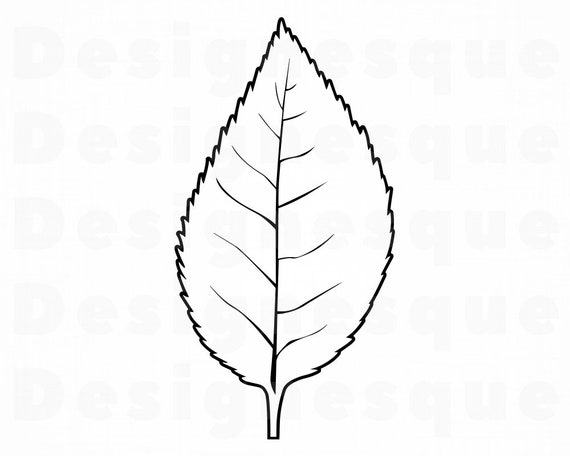 Download Leaf Outline 4 Svg Leaf Svg Leaf Clipart Leaf Files For Etsy