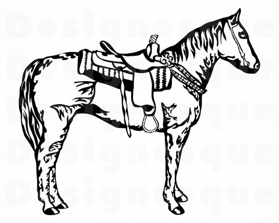 Download Horse Saddle 2 Svg Horse Svg Horse Riding Svg Horse Etsy PSD Mockup Templates
