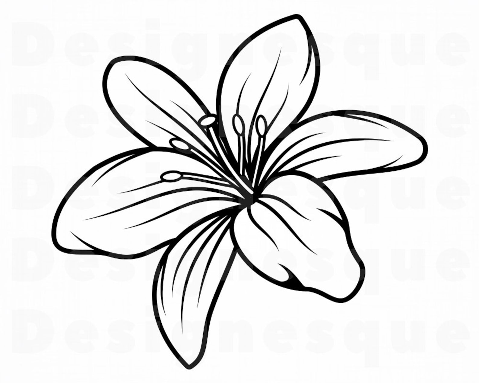 Lily Flower 3 SVG Lily Flower Svg Lily SVG Flower Svg Etsy