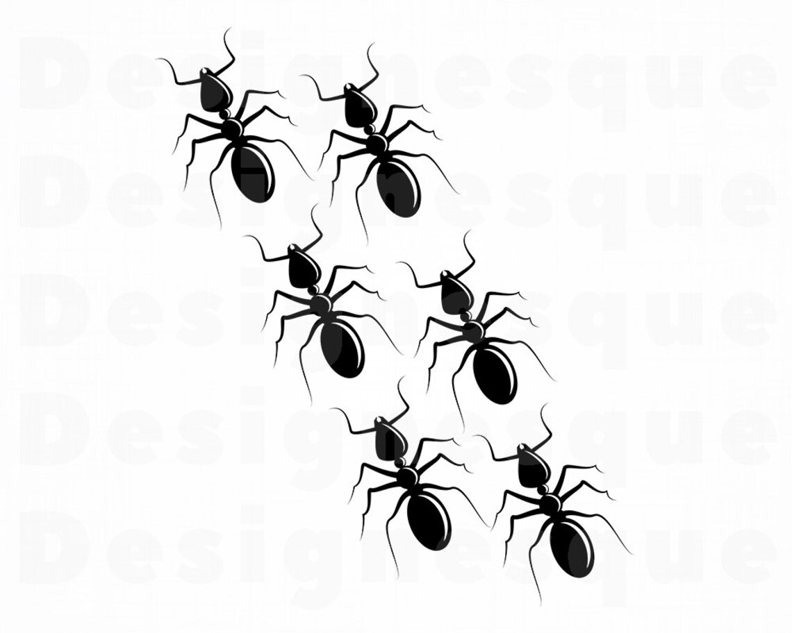 Ants SVG Ant SVG Insect SVG Ants Clipart Ants Files for Etsy