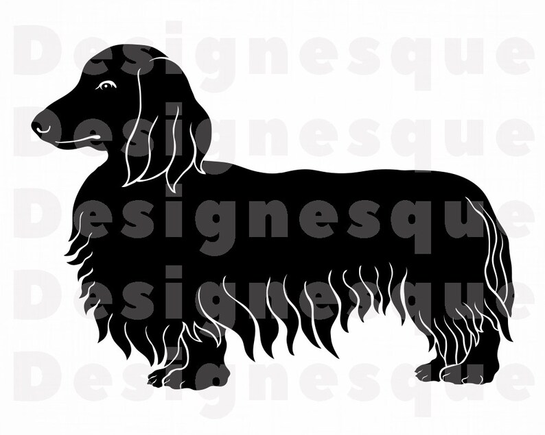 Miniature Long Haired Dachshund SVG Dog Svg Dachshund Etsy