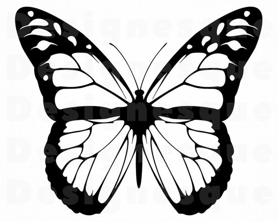 Download Monarch Butterfly Outline Svg Butterfly Svg Monarch Etsy SVG, PNG, EPS, DXF File