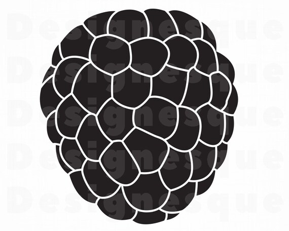 Free Free Blackberry Fruit Svg 541 SVG PNG EPS DXF File